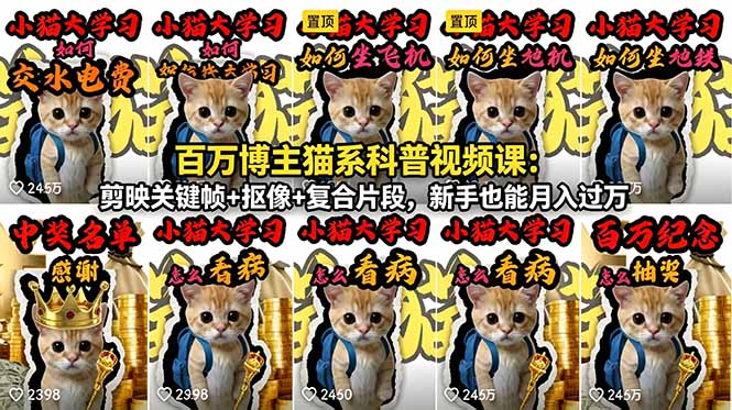 (18595期)百万博主猫系科普视频课:剪映关键帧+抠像+复合片段,新手也能月入过万 20260525013730-6a13a7dad64be.jpg