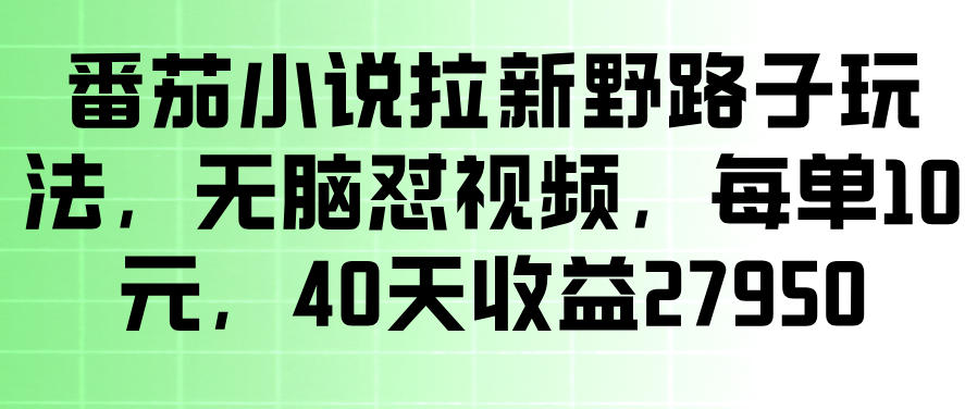 番茄小说拉新野路子玩法,无脑怼视频,玩法简单、见效快,每单10米,40天收益27950 20260606110058-6a23fdea84dd5.jpg
