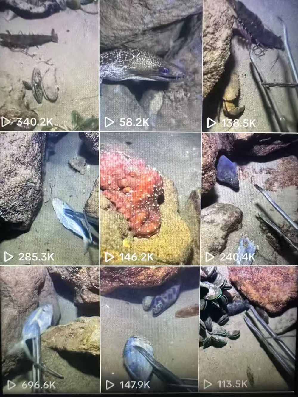 (18910期)Tiktok中视频解说教程,体育+温情文案双赛道实操教程一站式带你落地 20260616050149-6a30d8bd83f2f.jpg