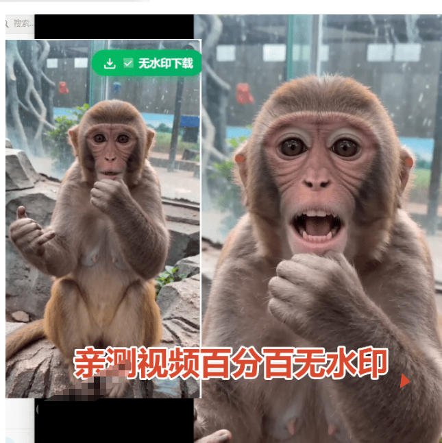豆包无水印下载终于来了!支持豆包图片/视频,目前唯一免费使用的插件,浏览器拓展 20260715050150-6a57143ee4383.jpg