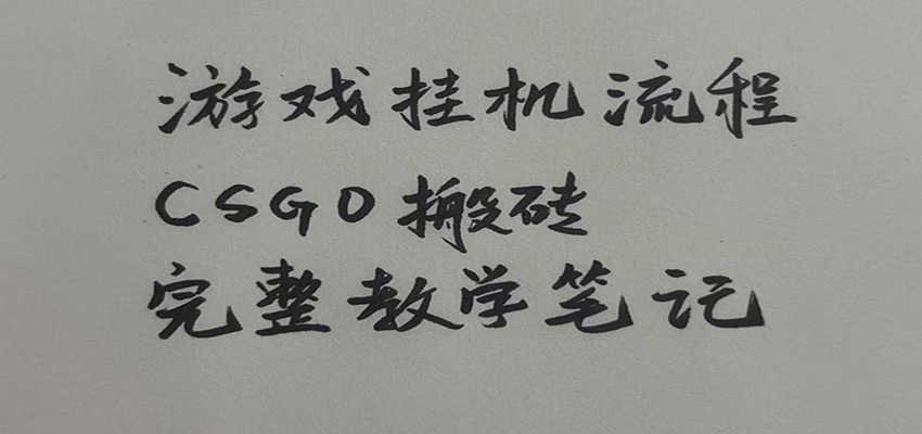 游戏挂机全流程笔记分享,CSGO游戏搬砖,小白看了当天学会见收益 20260810190034-6a7a1fd24e606.jpg