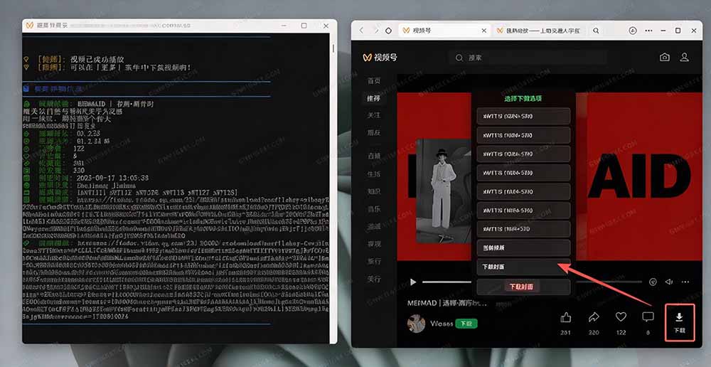(20967期)Github热门工具,视频号下载神器又来了!一键注入下载按钮,轻松下载,使用便捷 wx_channel 20261015030217-6ad04239a670e.jpg