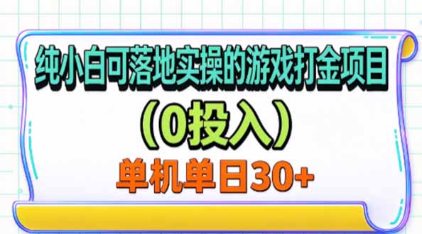(20993期)纯小白可落地实操的游戏打金项目(0投入)单机单号30+ 20261016050253-6ad1affdd4918.jpg