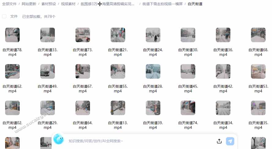 (21009期)氛围感3万+海量高清剪辑实况素材,含雨天、雪天、夜景、街道等经典场景,伤感唯美励志短视频无水印素材 20261017050117-6ad3011d3c085.jpg