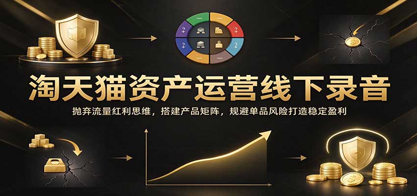 淘天猫资产运营线下录音:抛弃流量红利思维,搭建产品矩阵,规避单品风险打造稳定盈利 20261029130032-6ae34370d92d4.jpg