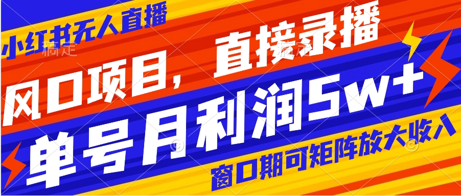 （8196期）风口项目，小红书无人直播带货，直接录播，可矩阵，月入5w+(小红书无人直播带货抓住电商新风口，实现月入5w+)