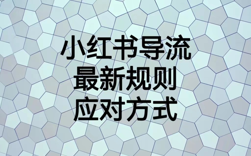 fy1114期-小红书导流最新规则应对方式，新规以后目前还可用的引流方式解读(小红书导流新规下的应对策略与实操指南)