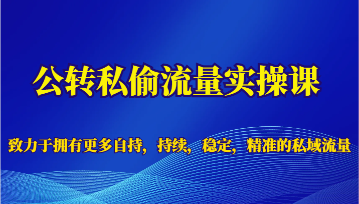 fy1418期-公转私偷流量实操课，致力于拥有更多自持，持续，稳定，精准的私域流量(fy1418期-公转私偷流量实操课打造自持、持续、稳定、精准的私域流量)