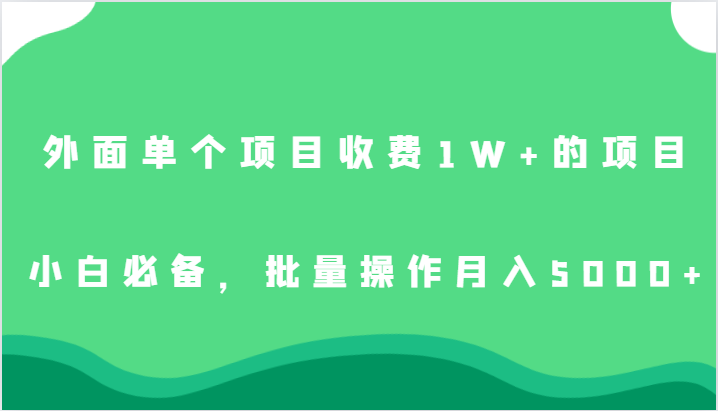 fy1495期-外面单个项目收费1W+的项目，小白必备，批量操作月入5000+(免费获取价值上万的项目，小白也能月入5000+)
