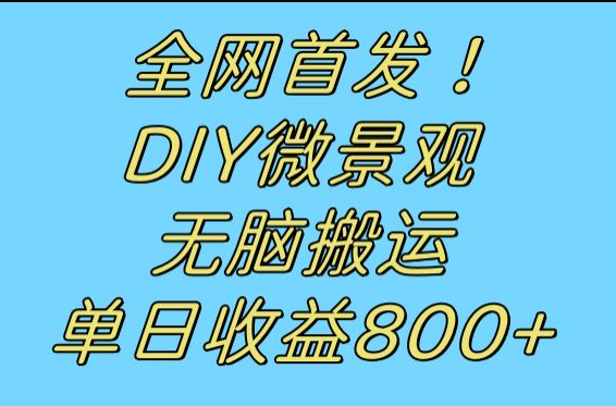 fy1668期-全网首发冷门赛道！DIY微景观，无脑搬运视频，日收益800+(探索冷门赛道DIY微景观项目助力零成本高收益)