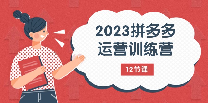 fy1886期-2023拼多多运营训练营：流量底层逻辑，免费+付费流量玩法（12节课）(全面解析拼多多运营策略从价格到流量的实战技巧)
