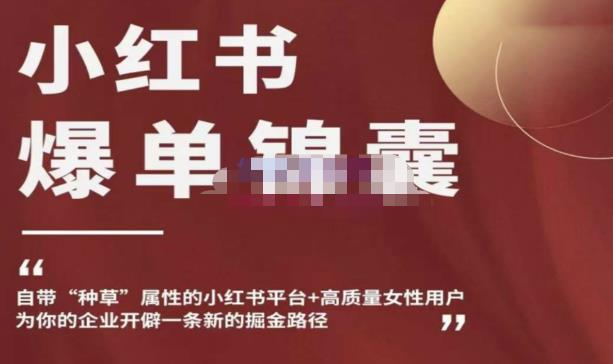 mp1196期-小红书爆单锦囊，自带种草属性+高质量女性用户，为你的企业开辟一条新的掘金路径(小红书爆单锦囊掌握四大篇章，助力企业掘金新路径)