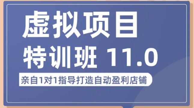 mp1269期-陆明明·虚拟项目特训班（10.0+11.0），0成本获取虚拟素材，0基础打造自动盈利店铺(“陆明明·虚拟项目特训班零基础打造自动盈利店铺的全面指南”)