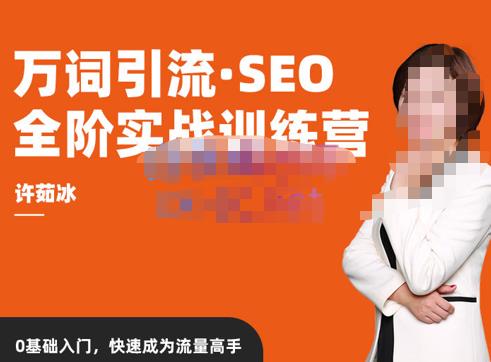 mp1383期-许茹冰·万词引流-SEO全阶实战训练营，0基础入门，快速成为流量高手(全面掌握SEO技能，实现流量快速增长)