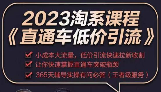 mp1752期-2023直通车低价引流玩法课程，小成本大流量，低价引流快速拉新收割，让你快速掌握直通车突破瓶颈(“mp1752期-2023直通车低价引流玩法课程小成本大流量，快速拉新收割”)