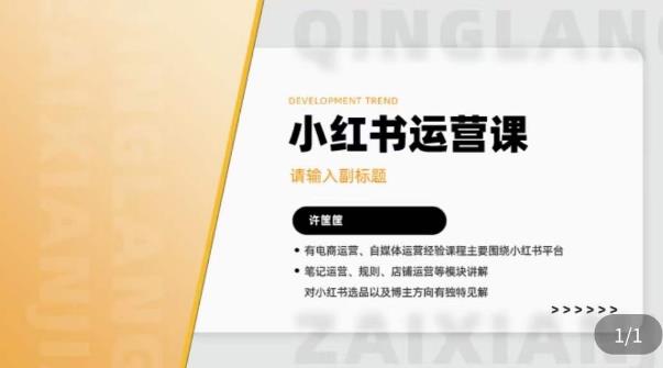 mp1975期-许筐筺·小红书运营课，​笔记运营、规则、店铺运营等模块讲解，学会自己独立运营小红书账号(掌握小红书运营全攻略，实现独立运营)