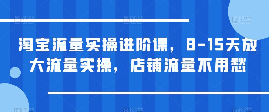 mp2515期-淘宝流量实操进阶课，8-15天放大流量实操，店铺流量不用愁(淘宝流量实操进阶课8-15天实现店铺流量翻倍增长)