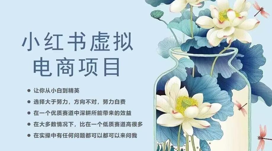 mp2840期-小红书虚拟电商从0到1，让你从小白到精英（20节实操课程）(小红书虚拟电商实操课程从小白到精英的成长之路)