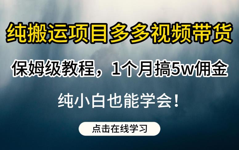 mp3139期-纯搬运项目多多视频带货保姆级教程，1个月搞5w佣金，纯小白也能学会【揭秘】(无技术门槛！纯搬运项目多多视频带货教程助你轻松赚取5万佣金)