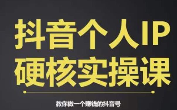 mp3669期-个人IP创富系统实战课，商业定位，流量打造，短视频变现，教你做个赚钱的抖音号(掌握抖音赚钱秘籍，打造个人IP实现财富增长)