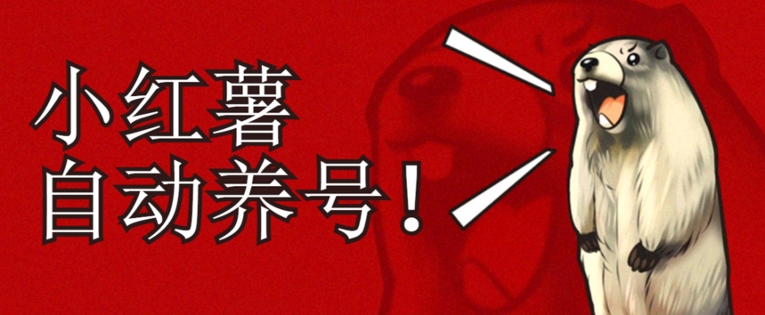 mp4186期-小红书养号秘籍，如何自动涨粉清晰系统标签打造高权重账号【揭秘】