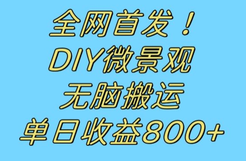 mp4188期-全网首发冷门赛道！DIY微景观，无脑搬运视频，日收益800+【揭秘】(“探索冷门赛道DIY微景观制作与销售的全新创业机会”)