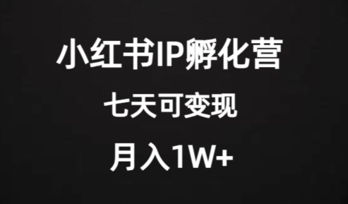 mp4572期-价值2000+的小红书IP孵化营项目，超级大蓝海，七天即可开始变现，稳定月入1W+(探索小红书IP孵化营项目七天即可开始变现，稳定月入1W+)