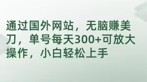 mp5148期-通过国外网站，无脑赚美刀，单号每天300+可放大操作，小白轻松上手【揭秘】