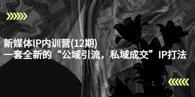 （4103期）新媒体IP内训营(12期)，一套全新的“公域引流，私域成交”IP打法，直接带走(全新IP打法助您实现公域引流与私域成交)