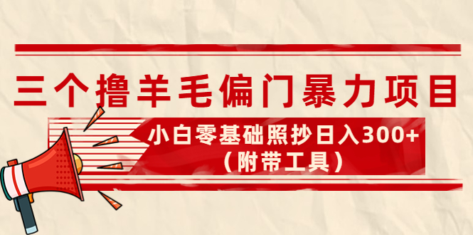 （4110期）外面卖998的三个撸羊毛偏门暴力项目，小白零基础照抄日入300+（附带工具）(三个偏门撸金项目，轻松日入300+)