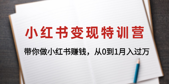 （4377期）小红书变现特训营：带你做小红书赚钱，从0到1月入过万(小红书变现特训营助你轻松掌握涨粉与变现技巧)