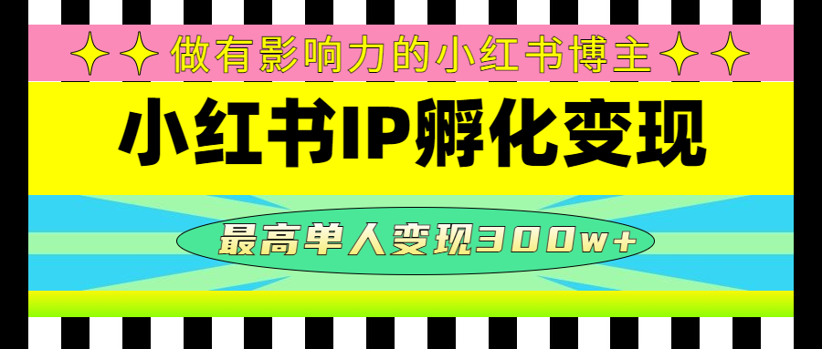 某收费培训-小红书IP孵化变现:做有影响力的小红书博主,最高单人变现300w+(小红书IP孵化变现培训课程提升影响力,实现高额变现)-AIGC资源中心