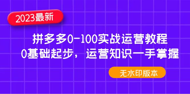 （4835期）2023拼多多0-100实战运营教程，0基础起步，运营知识一手掌握（无水印）(全面解析拼多多运营实战技巧，助力零基础商家快速上手)