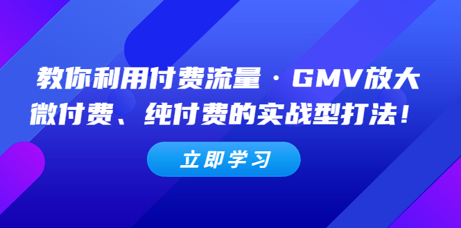 （5106期）教你利用付费流量·GMV放大，微付费、纯付费的实战型打法！(揭秘微付费、纯付费的实战打法，提升你的付费流量效果！)