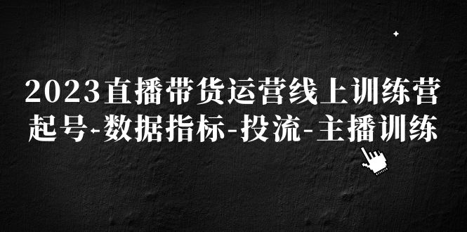 （5122期）2023直播带货运营线上训练营，起号-数据指标-投流-主播训练(全面掌握直播带货运营技巧，助力主播成长)