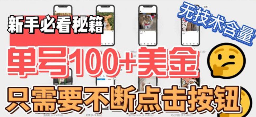 （6017期）最新无脑只需不断点击按钮，单号100美金暴利项目，可批量操作(轻松赚钱新方法无脑点击按钮获取Instagram号并出售)