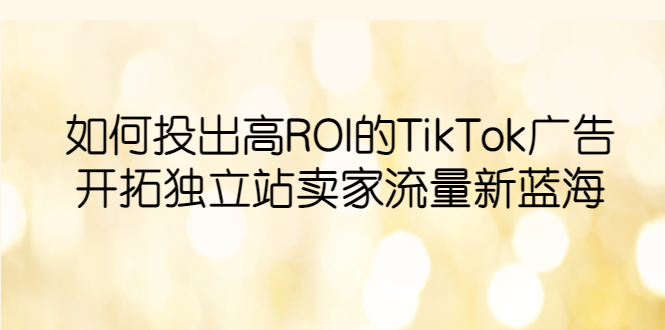 （6102期）如何投出高ROI·TikTok广告，开拓独立站卖家流量新蓝海(掌握TikTok广告策略，开启独立站卖家流量新蓝海)