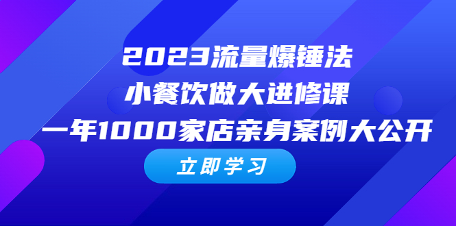 （6485期）2023流量 爆锤法，小餐饮做大进修课，一年1000家店亲身案例大公开(揭秘小餐饮做大的秘诀流量爆锤法与爆品方法论)