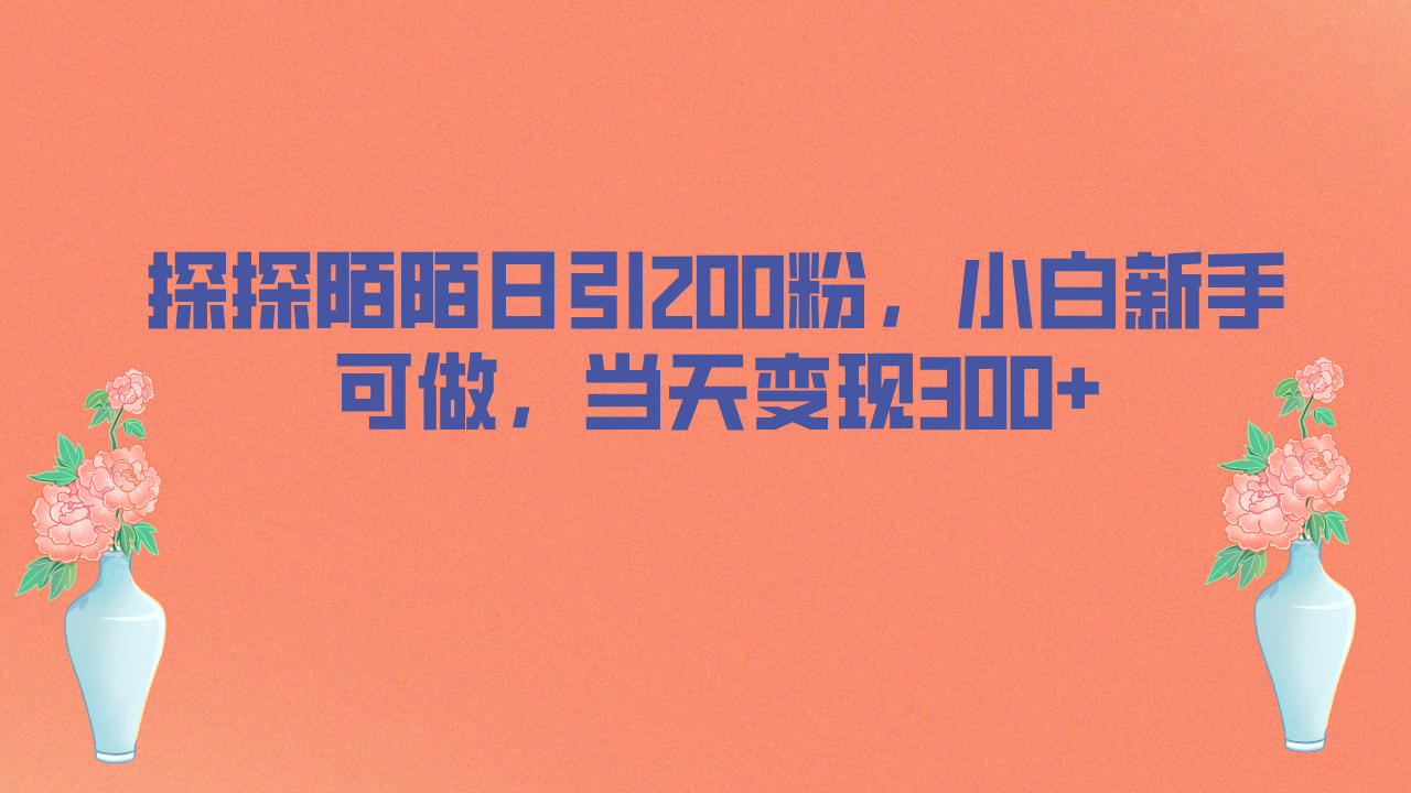 （6817期）探探陌陌日引200粉，小白新手可做，当天就能变现300+(探探陌陌引流男性粉丝的快速变现策略)