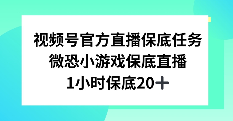 mp6000期-视频号直播任务，微恐小游戏，1小时20+