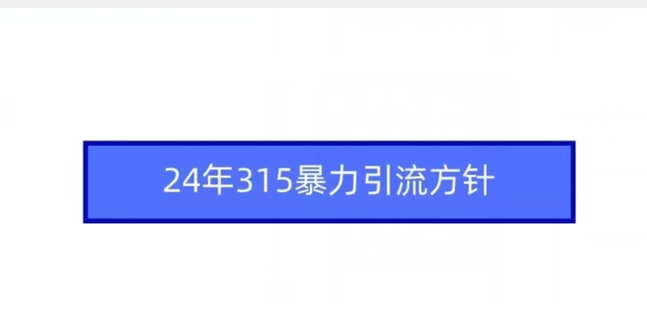 mp6801期-24年315暴力引流方针