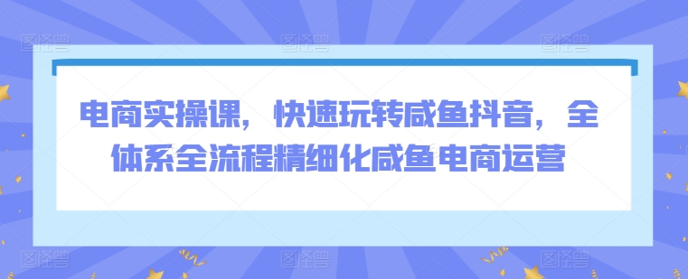mp6927期-电商实操课，快速玩转咸鱼抖音，全体系全流程精细化咸鱼电商运营