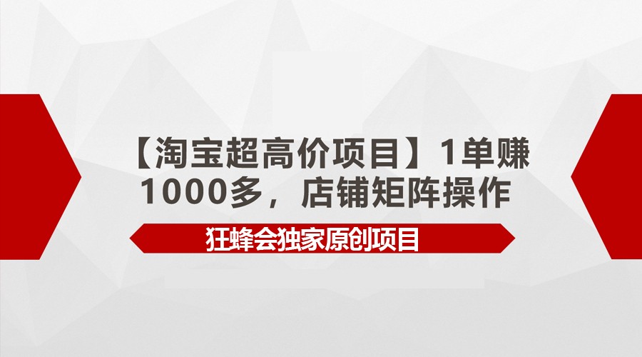 fy3536期-【淘宝超高价项目】1单赚1000多，店铺矩阵操作