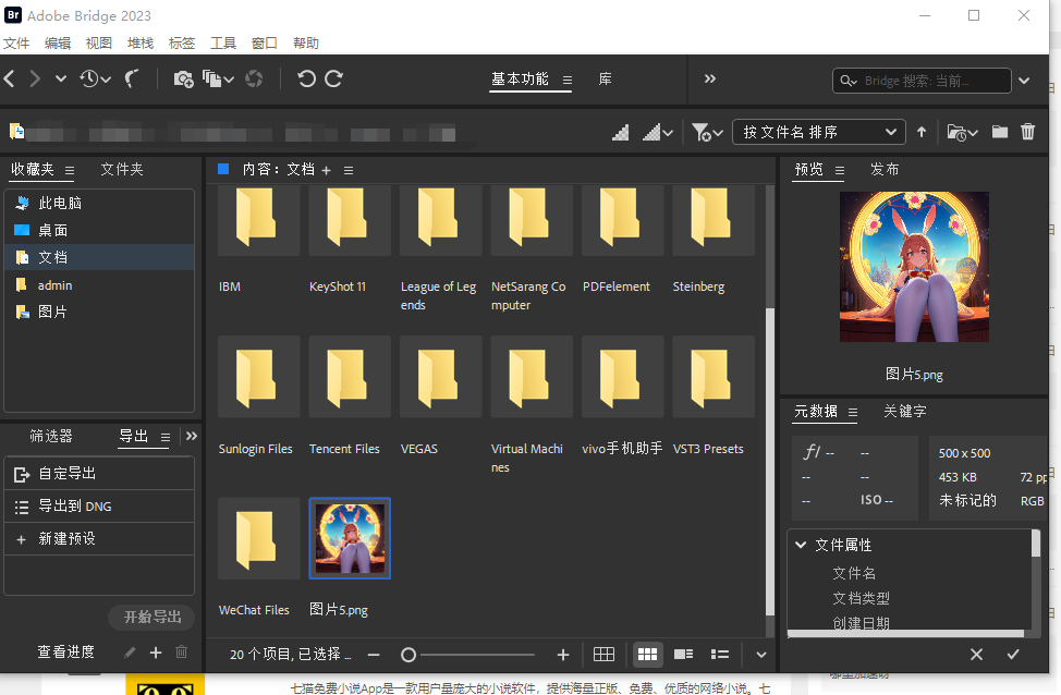 Adobe Bridge BR v14.0.3 解锁版 (多媒体文件组织管理工具)