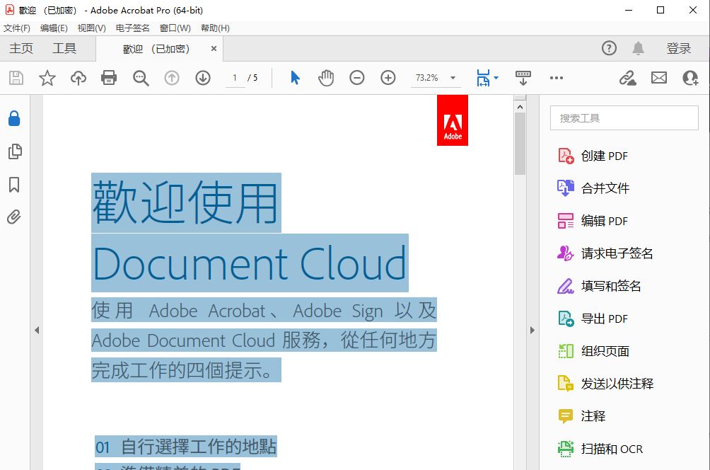 Adobe Acrobat PRO DC v2024.001.20629 解锁版 (PDF编辑器)