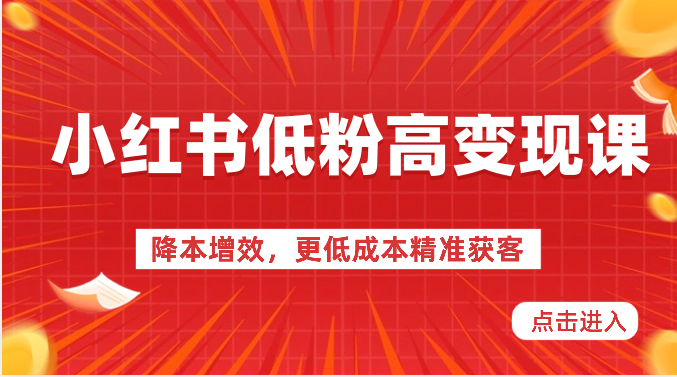fy3878期-小红书低粉高变现课-降本增效，更低成本精准获客，小红书必爆的流量密码
