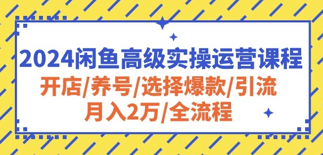 mp8119期-2024闲鱼高级实操运营课程：开店/养号/选择爆款/引流/月入2万/全流程