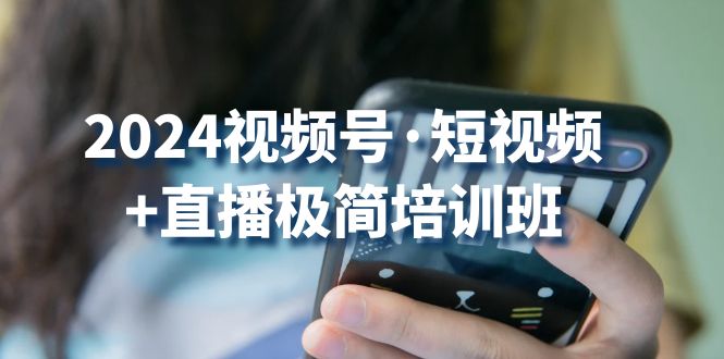 fy4084期-2024视频号短视频+直播极简培训班：抓住视频号风口，流量红利