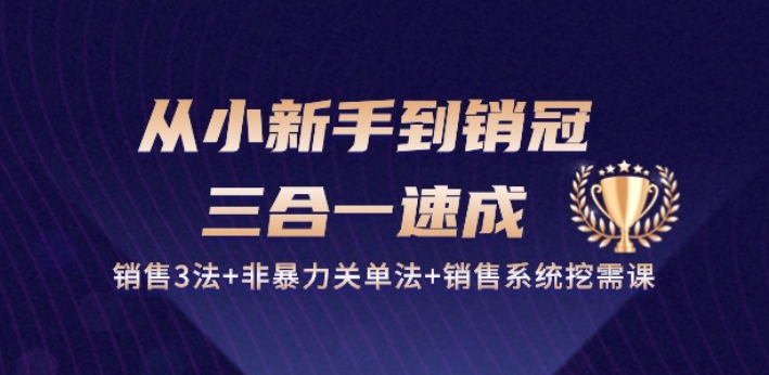 mp8164期-从小新手到销冠 三合一速成：销售3法+非暴力关单法+销售系统挖需课 (27节)