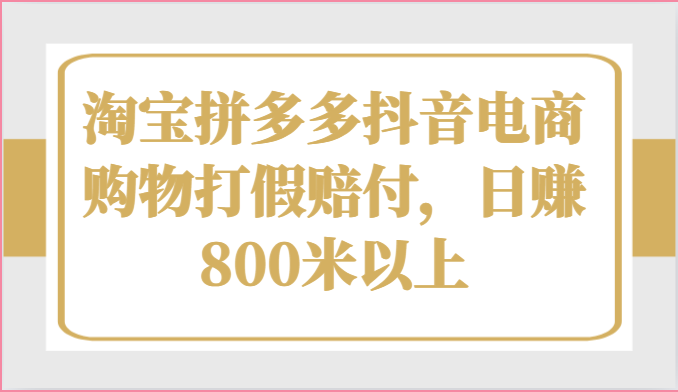 fy4160期-淘宝拼多多抖音电商购物打假赔付，日赚800米以上